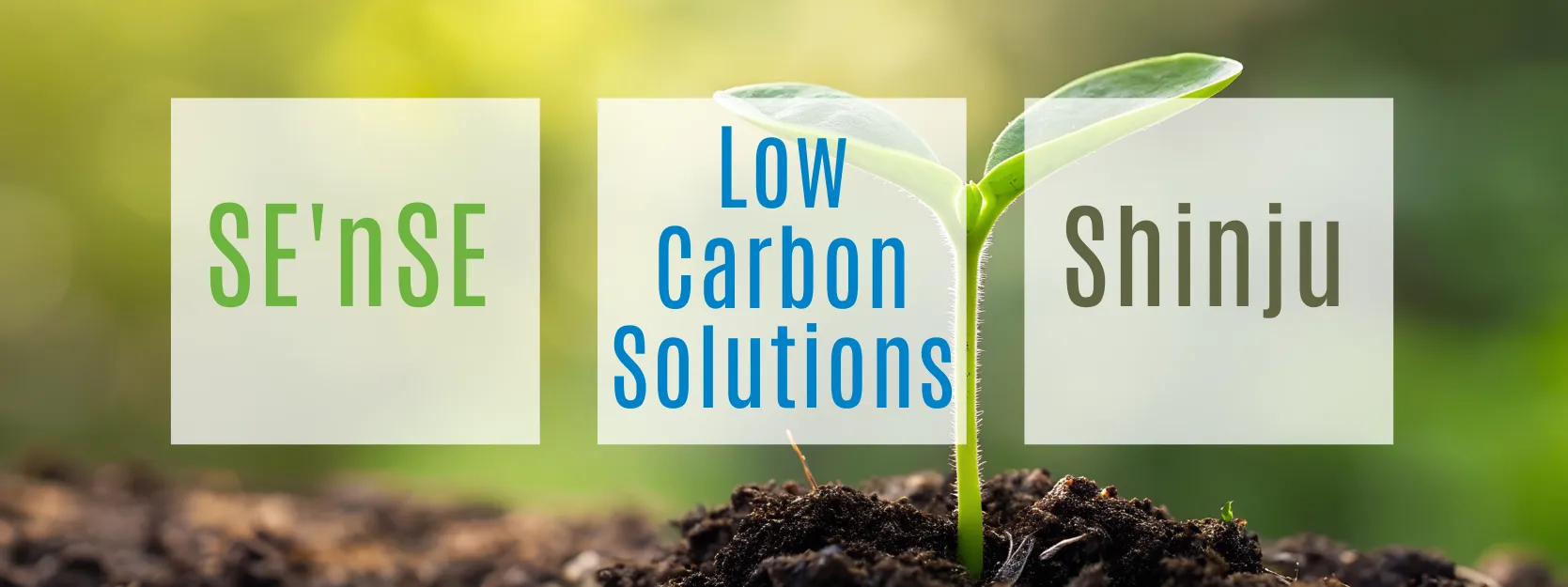SE'nSE, Shinju, Low Carbon Solutions