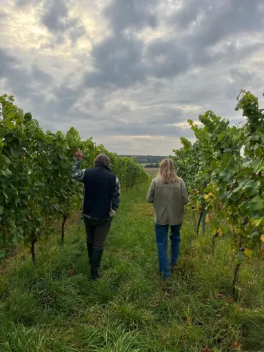 W&rsquo;Ice Biostimulant biologique pulv&eacute;risable 