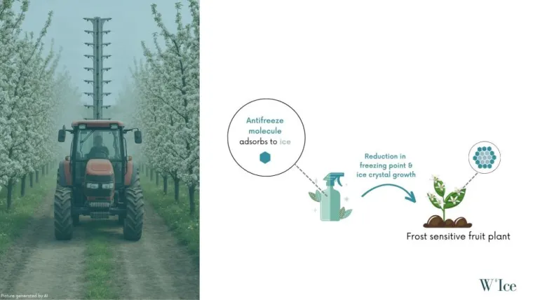 W&rsquo;Ice Biostimulant biologique pulv&eacute;risable 