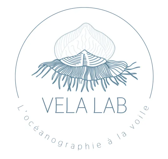 Logo de Vela Lab
