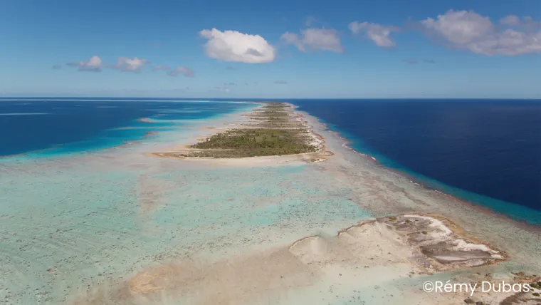 API CORAIL