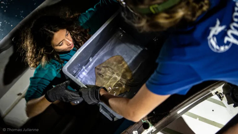 Je navigue&rsquo;RAIE - Laur&eacute;at AETHER 2025