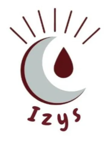 Logo IZYS