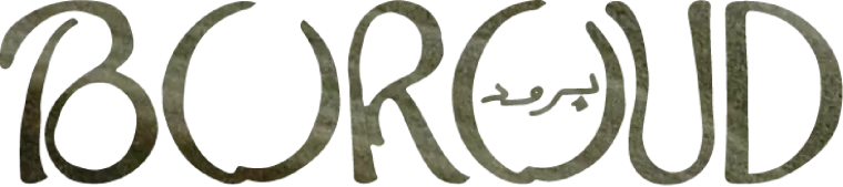 Logo Boroud