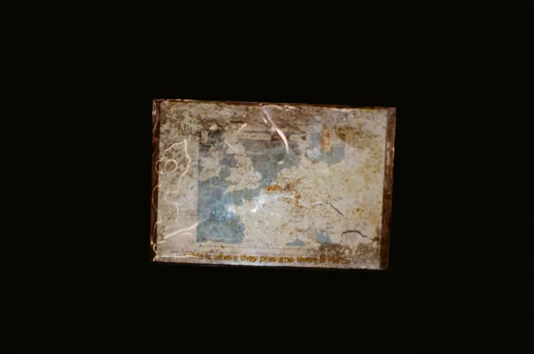 Projection For A Spoiled Soil (P.F.A.S.S.) 