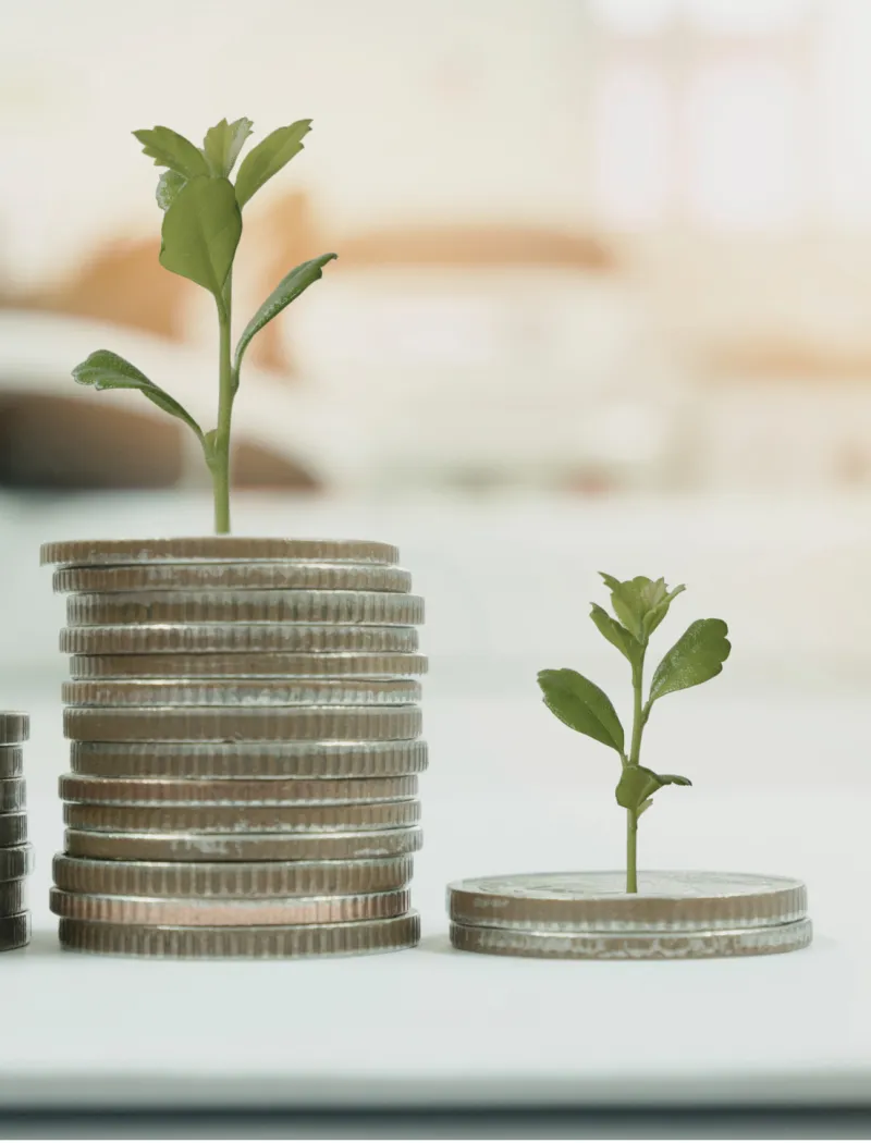 Funding sources and financial management