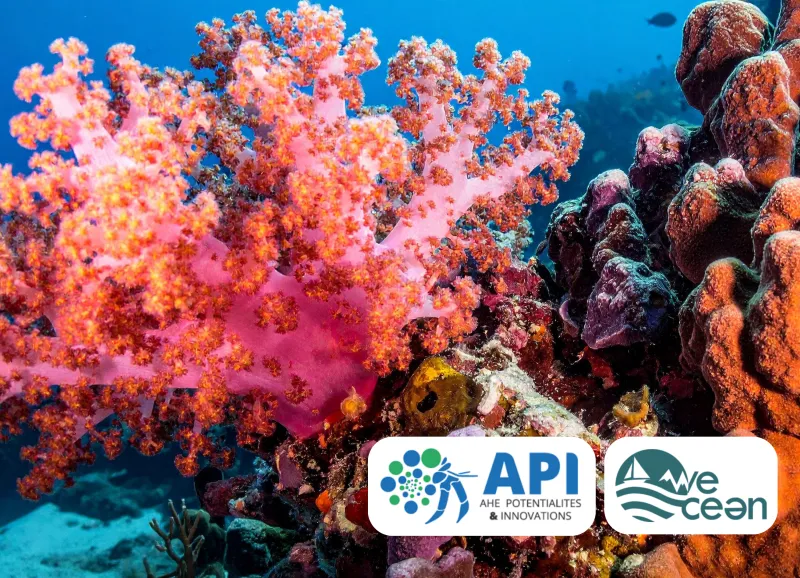  API CORAIL WEOCEAN