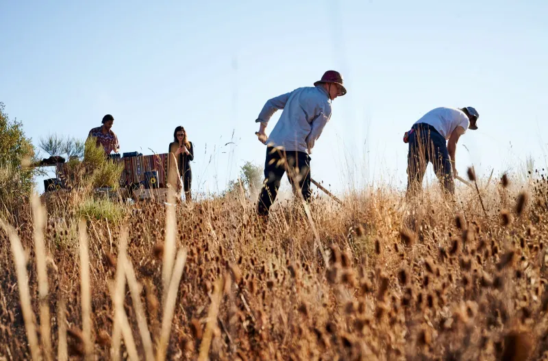 Feesten &eacute;n natuur herstellen: Brusselaars lanceren ecofestival in Portugal