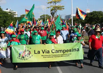 Th&egrave;se Priscilla Claeys