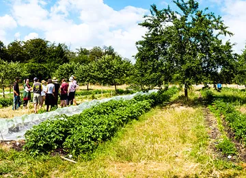 TFE Laurence Vandenhoeke