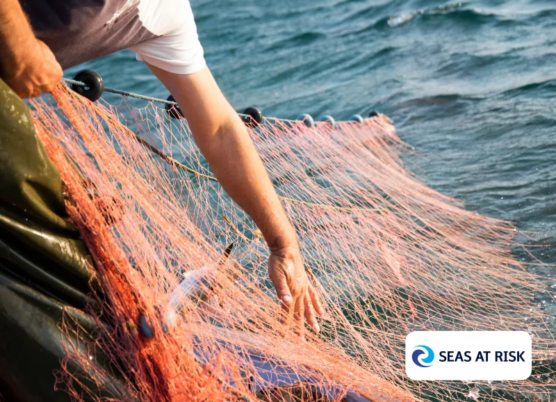 Seas at Risk, initiative soutenue par le Fonds Aether pour les G&eacute;n&eacute;rations Futures