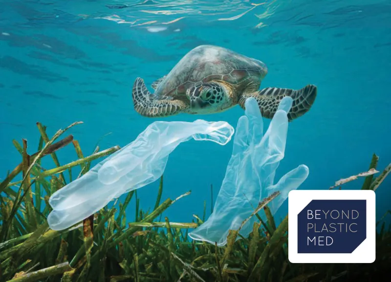 BeMed, laur&eacute;at - winnaar SE'nSE 2024