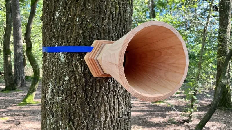 Sophia van Sloun, 1e winnaar van de Future Proef Award Bachelorproeven &ndash; Editie 2024