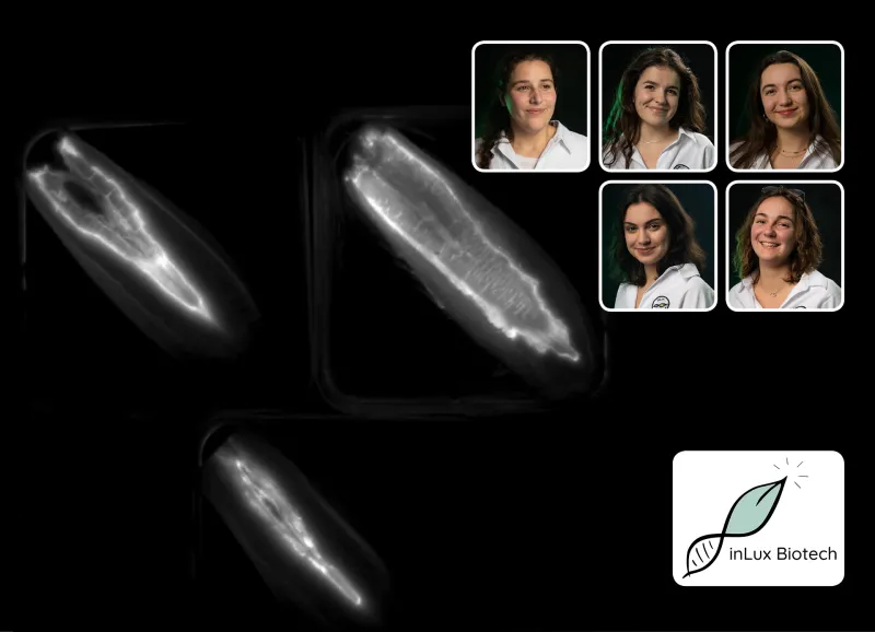 Vignete inLux Biotech