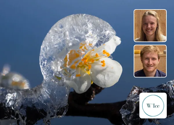 Low Carbon Soutions vignette W'Ice.jpg