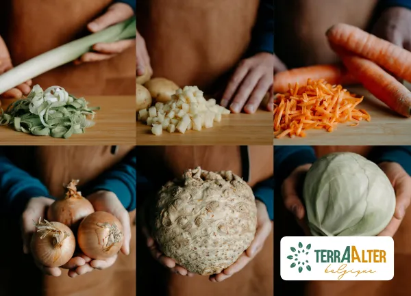 SEnSE Vignette Terra Alter.jpg