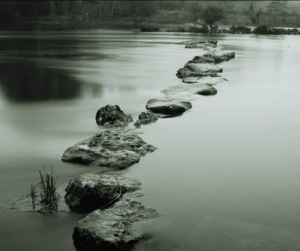 milestones Appels &agrave; projets