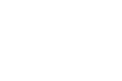 icon-timeline-3.png