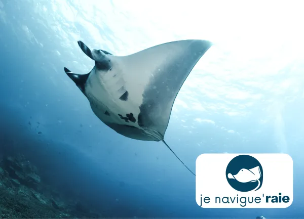 Vignette CANVA - Je navigue&rsquo;RAIE - Aether 2025-2026.png