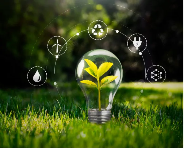 Shinju concr&egrave;tement visuel lampe ampoule vert green id&eacute;es durable gazon2.png