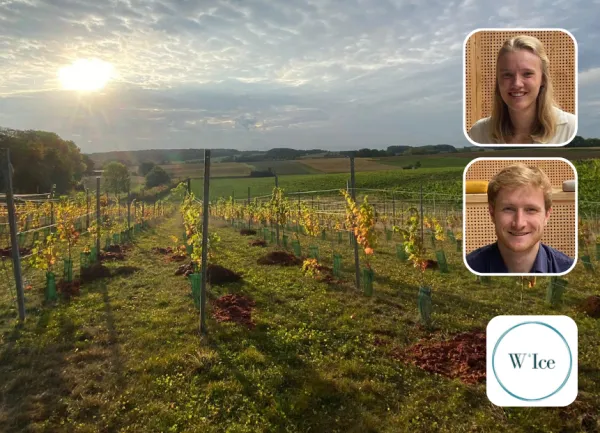 Vignettes Low Carbon