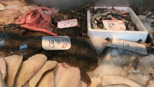  De Chinese wolhandkrab: tussen delicatesse en delict