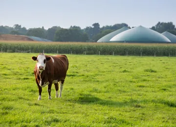 Dewalque De Roo Rodriguez Garcia