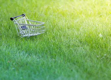 Bastien Van Grunderbeeck