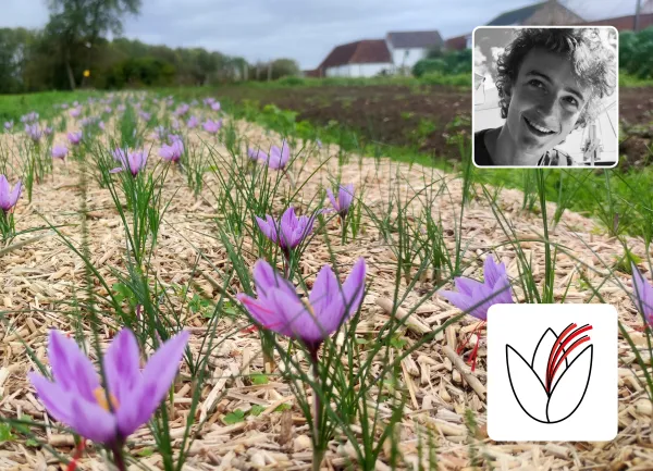 Pistil, un des laur&eacute;ats Prototyping the Future 2024 - Des proc&eacute;d&eacute;s m&eacute;caniques simplifiant la production de safran &agrave; un co&ucirc;t abordable et sa r&eacute;introduction en Europe