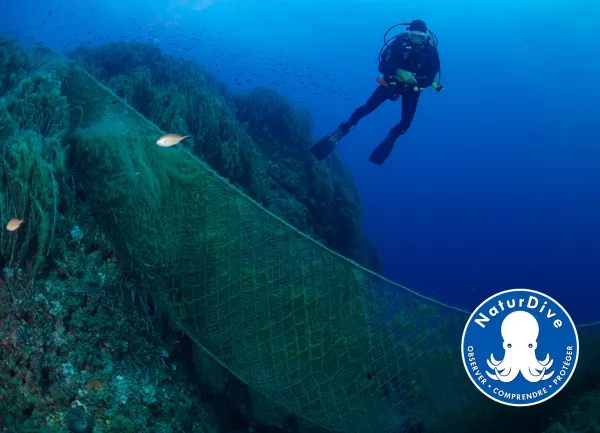 NaturDive, projet DEFIMED, initiative soutenue par le Fonds AETHER pour les G&eacute;n&eacute;rations Futures