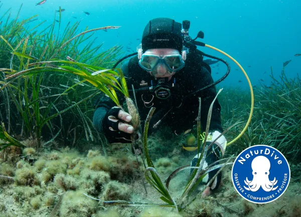 NaturDive, projet PRIME, initiative soutenue par le Fonds AETHER pour les G&eacute;n&eacute;rations Futures