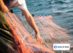 Seas at Risk, initiative soutenue par le Fonds Aether pour les Générations Futures