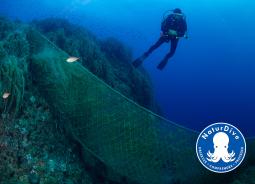 NaturDive, projet DEFIMED, initiative soutenue par le Fonds AETHER pour les Générations Futures
