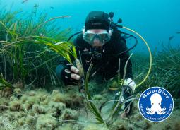 NaturDive, projet PRIME, initiative soutenue par le Fonds AETHER pour les Générations Futures