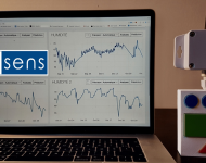 Insens