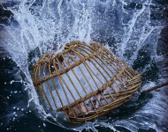 Projet belge Rethinking Fisheries propose des modèles innovants pour la pêche en Europe