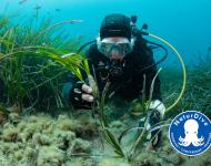 NaturDive, projet PRIME, initiative soutenue par le Fonds AETHER pour les Générations Futures